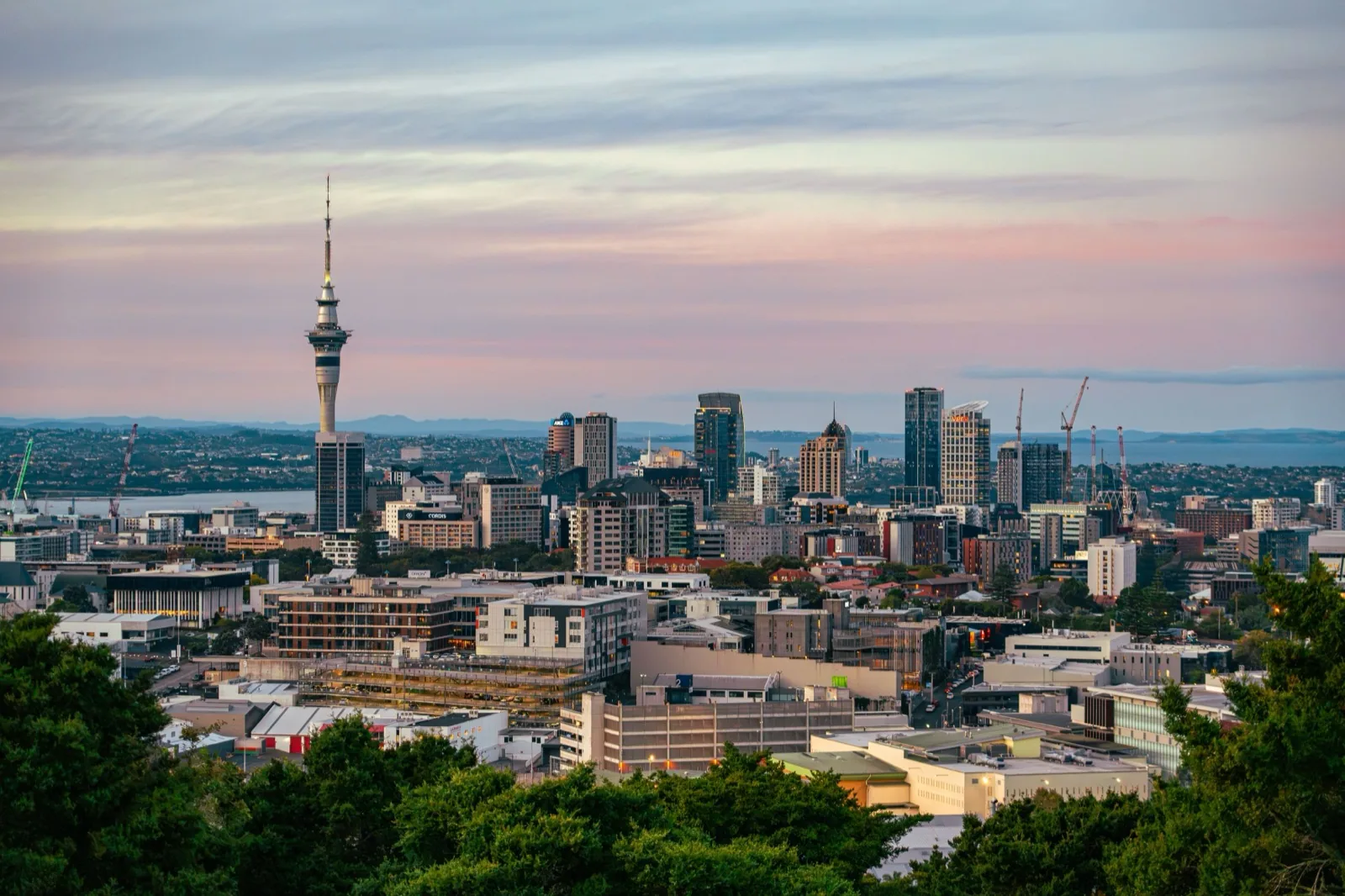 Language stay in Auckland, New Zealand