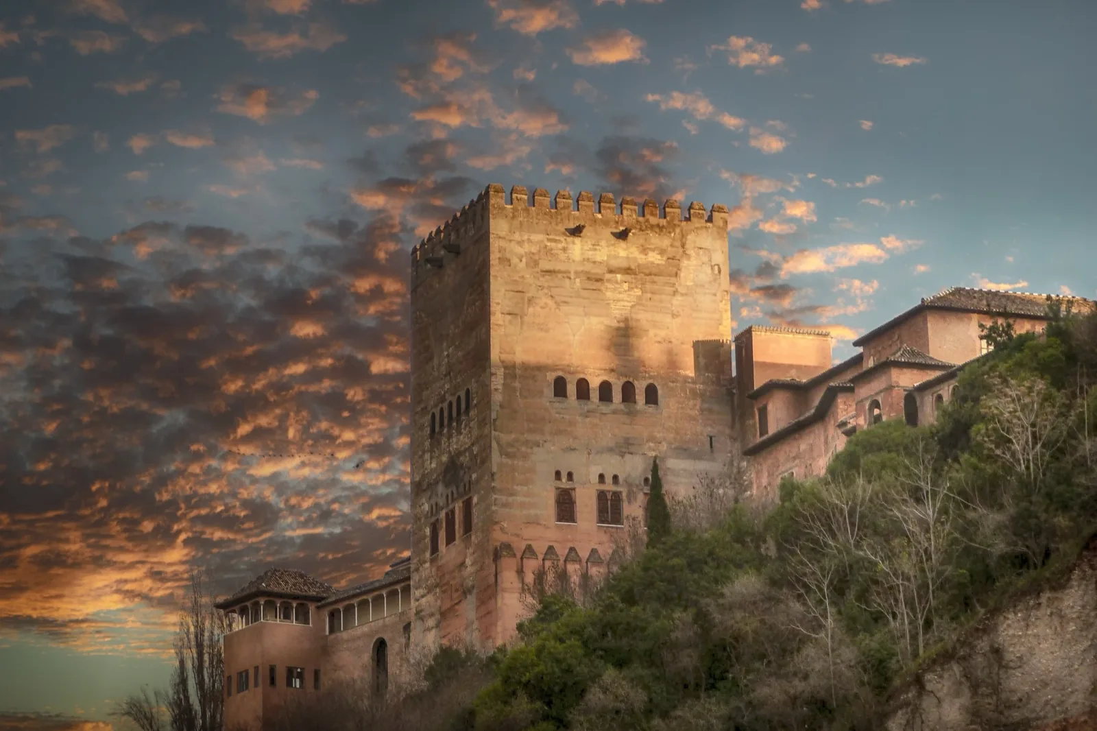Language stay in Granada, Spain