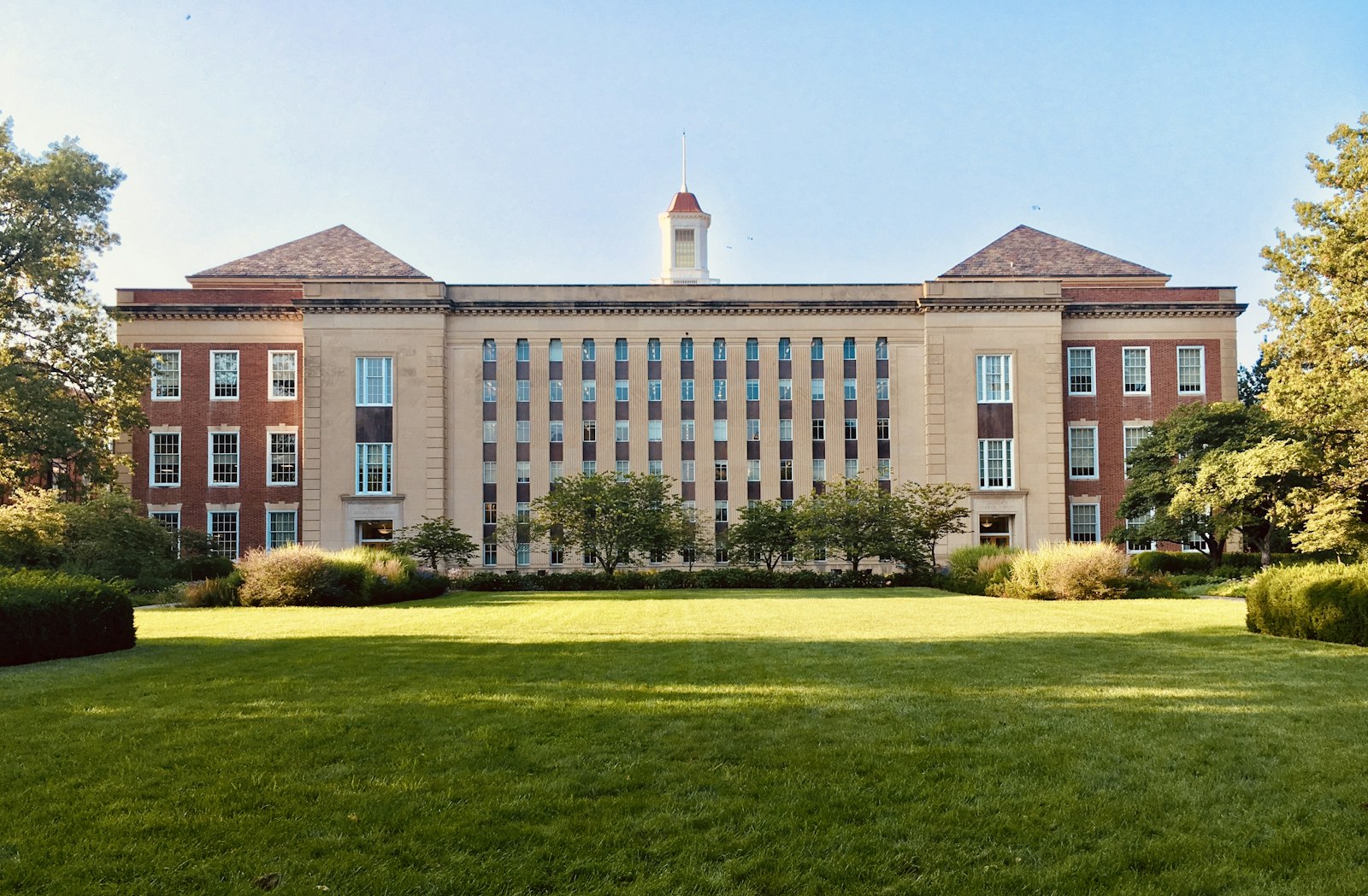 Jeune professionnel travaillant à son bureau pendant un stage international
