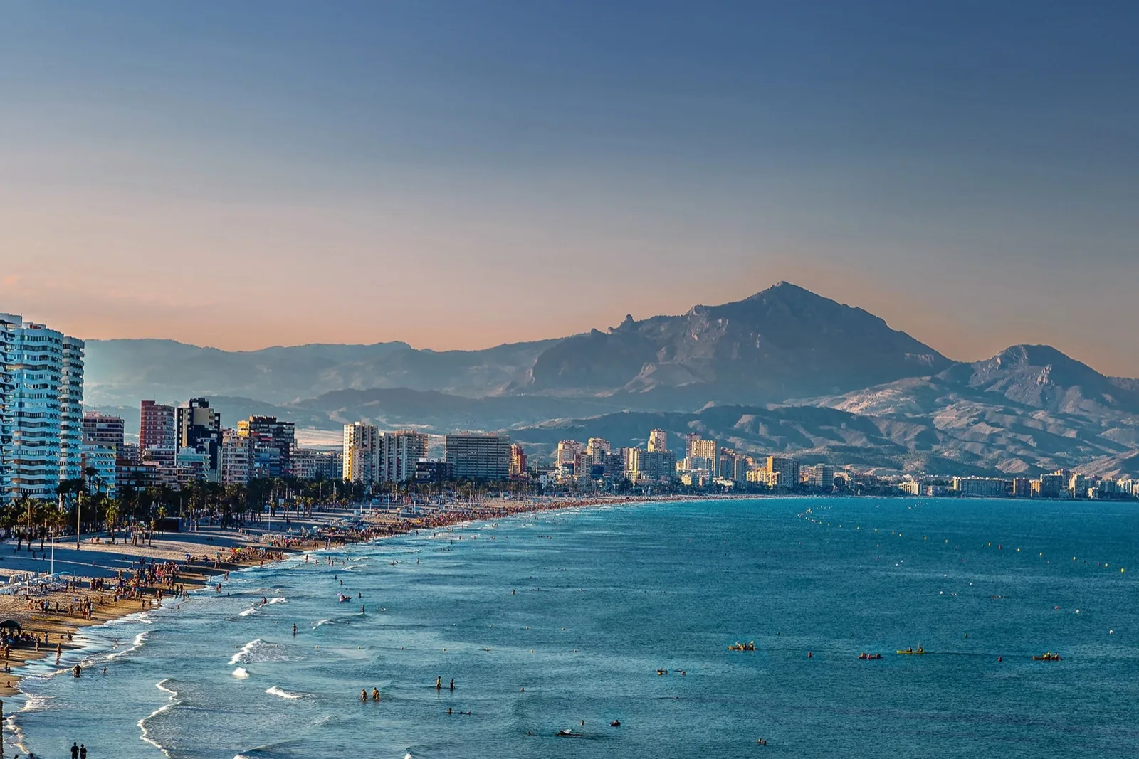Palm trees along the Explanada de España during a language stay in Alicante
