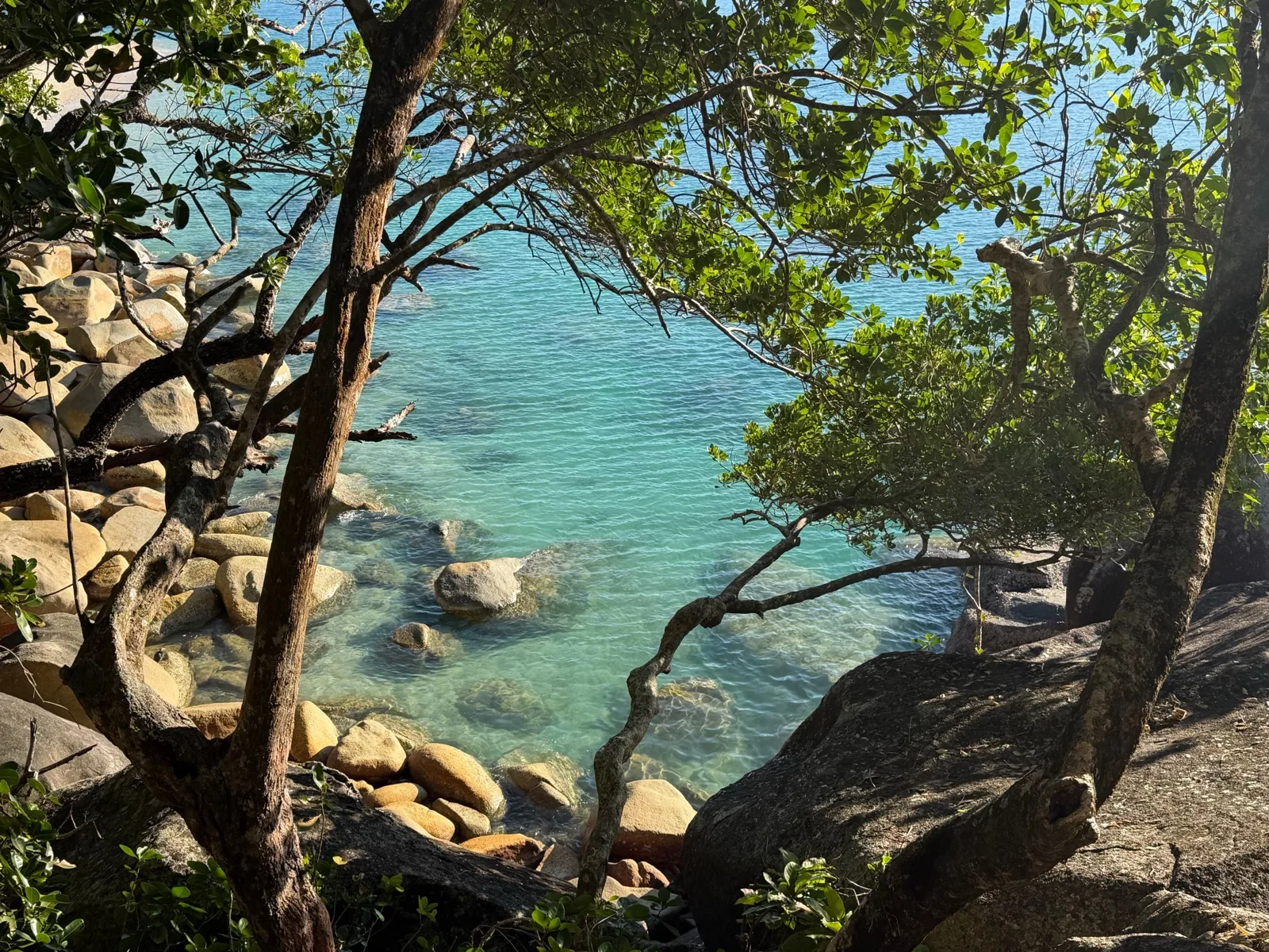 Snorkeller above coral on the Great Barrier Reef during an English language stay in Cairns