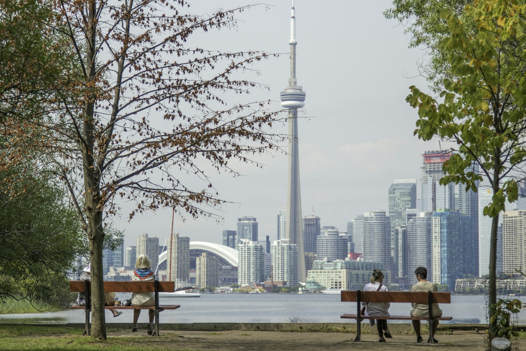 Toronto skyline and CN Tower seen from the islands during a language stay in Canada