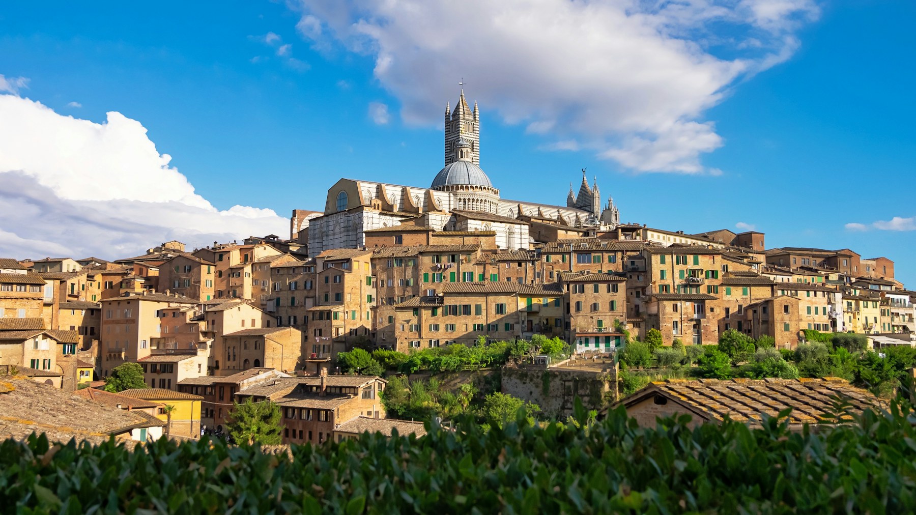 Piazza del Campo and the Torre del Mangia during an Italian language stay in Siena, Italy